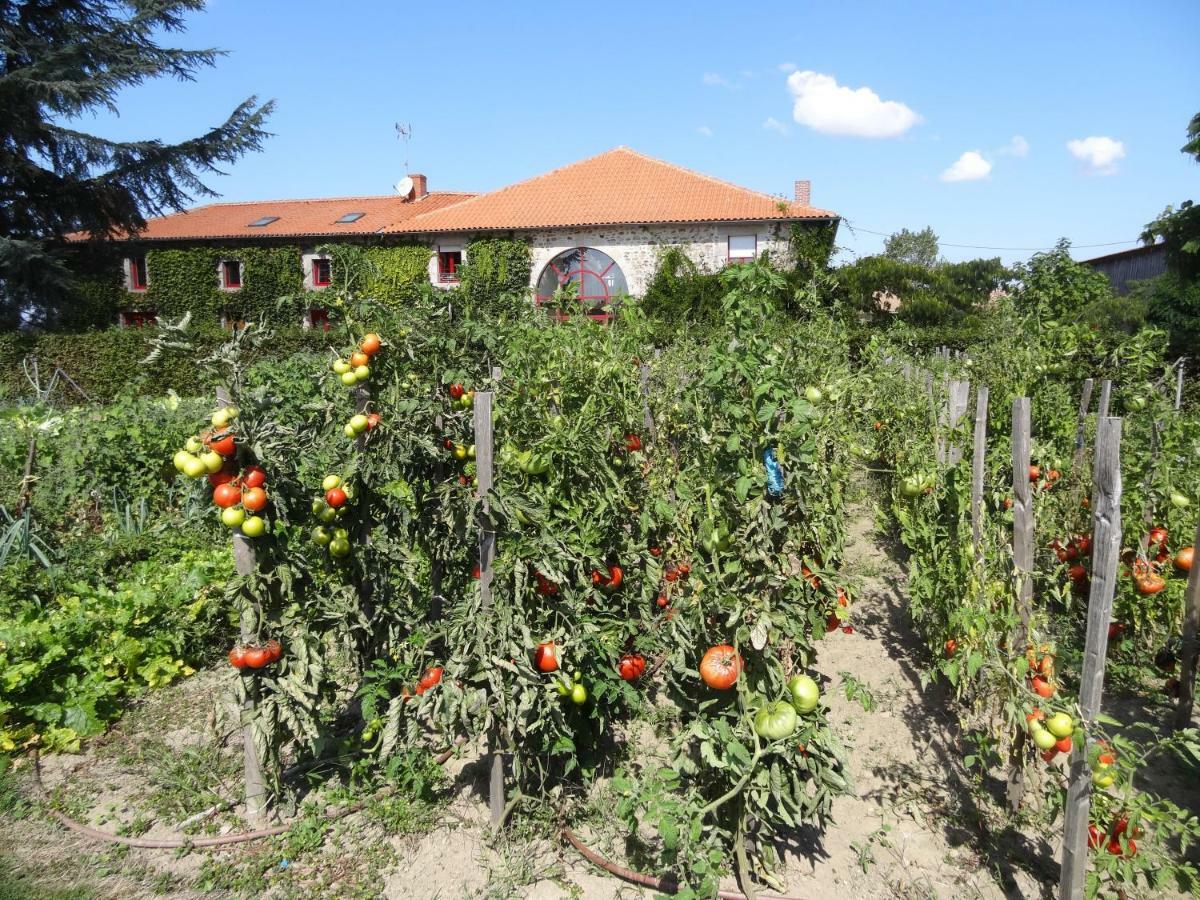 La Ferme De Rouffignac Blanzac (Haute-Vienne) Exterior foto